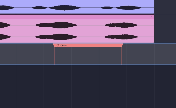 A region label on the label track: a bar spanning a stretch of time, with its name on it