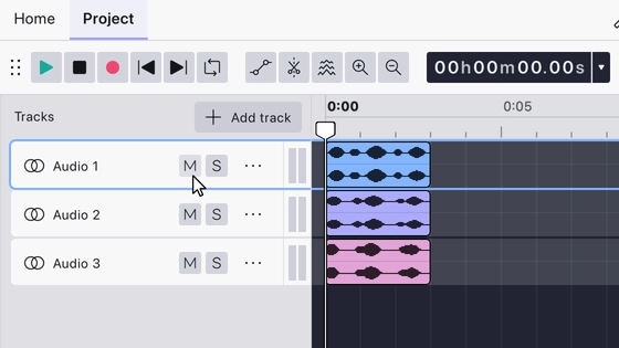 Short tracks with collapsed panels: the name with mute and solo beside it